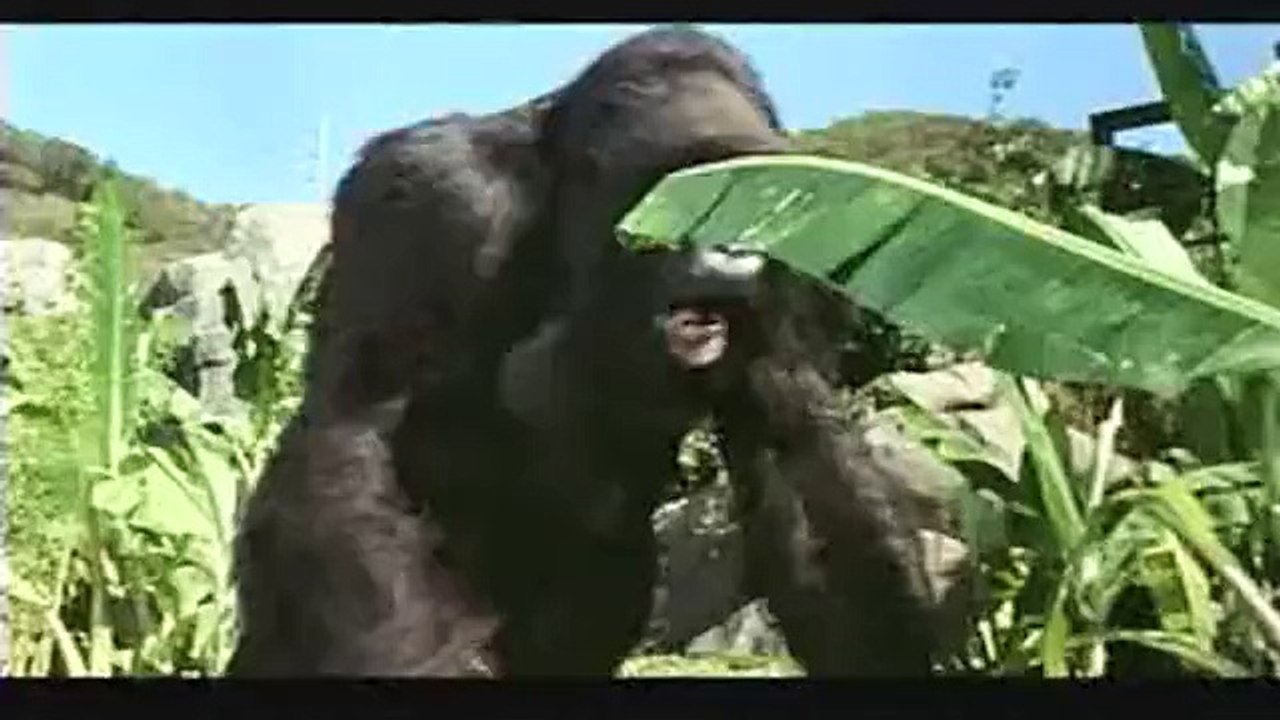 Mon ami Joe - VF