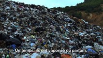 Polluting Paradise - VOST