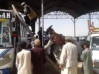 New Funny Videos Funny  VinesPranks 2016 Scary Pranks TOP Funny Pranks Compilation 2016 (9)