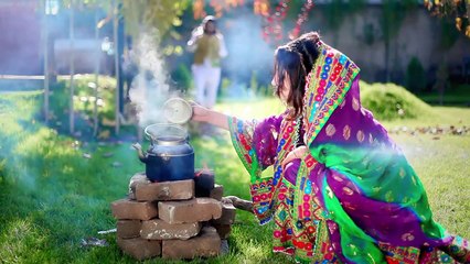 Naweed Hashimi - Lailo OFFICIAL VIDEO - YouTube