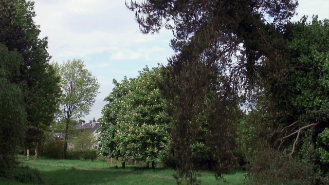 Déchirés / Grave - VF