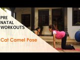 Cat Camel Pose | Sonali Shivlani | Pre Natal Workouts
