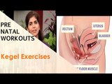 Kegel Exercises | Sonali Shivlani | Pre Natal Workouts