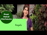 Kegels | Sonali Shivlani | Post Natal Workouts