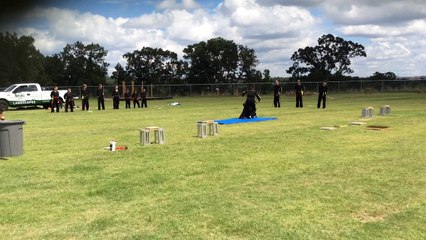 Revolution Demo Team Norcross- Weapons