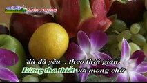 TÌM VỀ CHỐN CŨ Nguyễn Phi Hùng karaoke full HD 2016 Điện Tử Anh Phụng