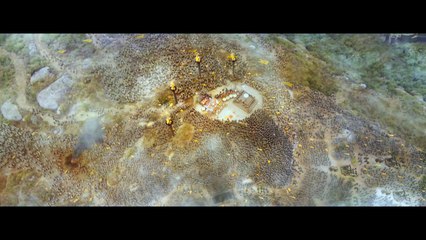 La Légende de Baahubali - 1ère Partie