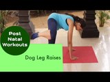 Dog Leg Raises | Sonali Shivlani | Post Natal Workouts