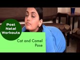 Cat and Camel Pose | Sonali Shivlani | Post Natal Workouts