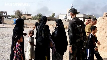 Iraque: Forças curdas "peshmergas" recuperam controlo de vilas próximas de Mosul