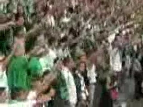 ASSE - nous sommes les stephanois