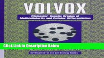 Ebook Volvox: Molecular-Genetic Origins of Multicellularity and Cellular Differentiation