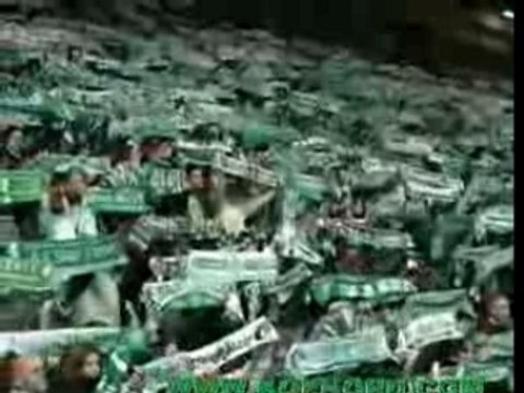 ULTRAS ASSE Magic fans kop nord (anti ol om psg bsn)l