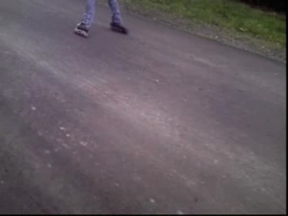 chute dans un buisson