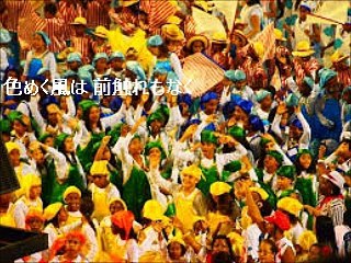 喜びの奴隷 ESCRAVO DA ALEGRIA (ヴィニシウス Vinícius & マリア・クレウーザ MARIA CREUSA) シャンソン版 / 訳詞初稿 Sima