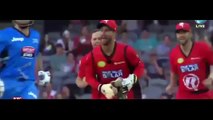 TOP 5 - Incredible Direct Throws- hits From The Boundary - Unbelievable Run Outs