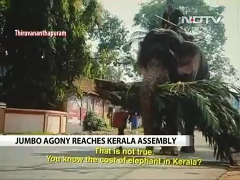 NDTV_ Elephants are abused in the name of temple festivals in Kerala, India 30Jun16