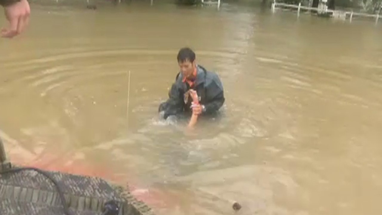 Un homme sauve une femme et son chien piégés dans une voiture