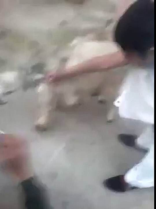 funny clips-funny pranks-funny fails-funny videos-Best Fails-top funny-funny videos 2016-Funny