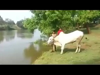 funny clips-funny pranks-funny fails-funny videos-Best Fails-top funny-funny videos 2016-Funny