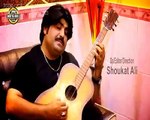 Ameer Niazi New Song Hamari Adhuri Kahani