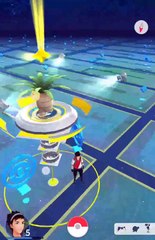 Pokémon Go - Oeuf en arène