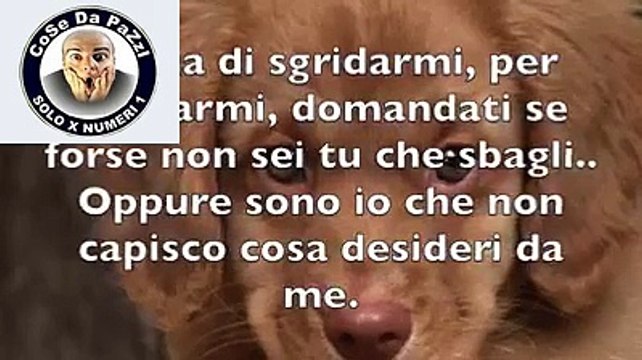 il nostro cane ci invia un messaggio