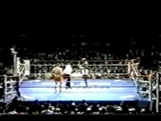 K-1 GP 96 - Andy Hug vs Ernesto Hoost