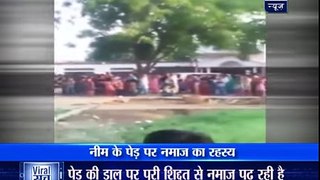 Woman offers Namaz after climbing a neem tree