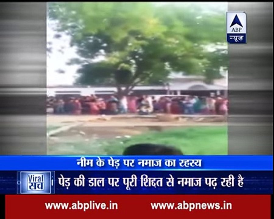 Woman offers Namaz after climbing a neem tree