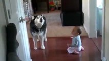 Un' incredibile conversazione tra un neonato e un cane