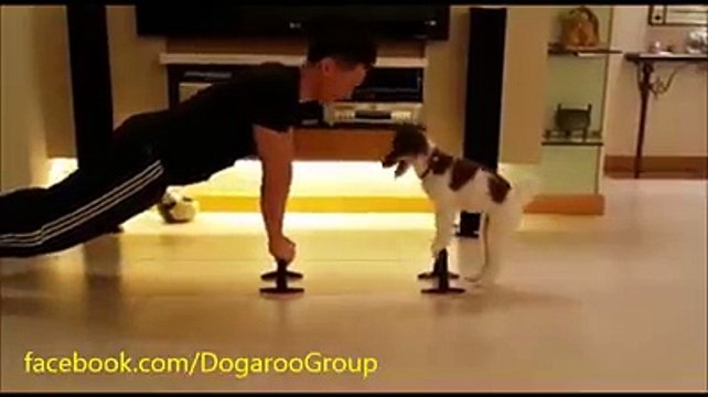 Ecco il cane che si allena sempre con il suo padrone