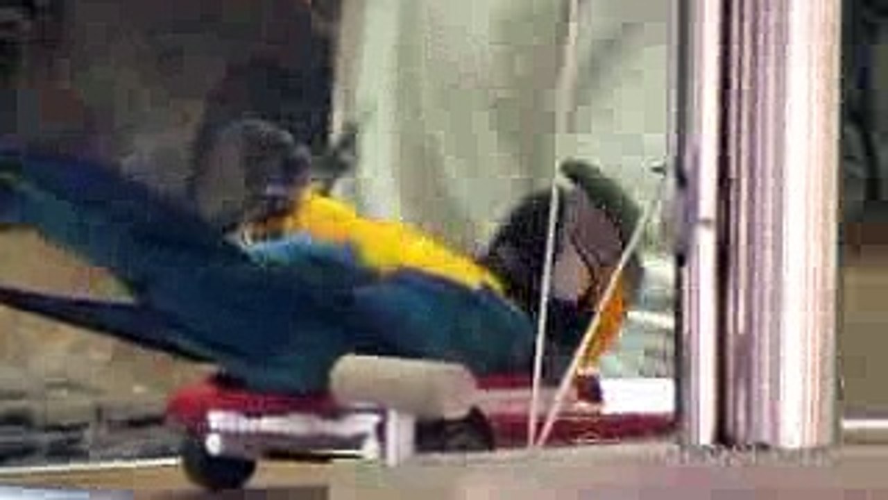 Amazing  New Funny Videos Funny  VinesPranks 2016 Scary Pranks TOP Funny Pranks Compilation 2016  (166)