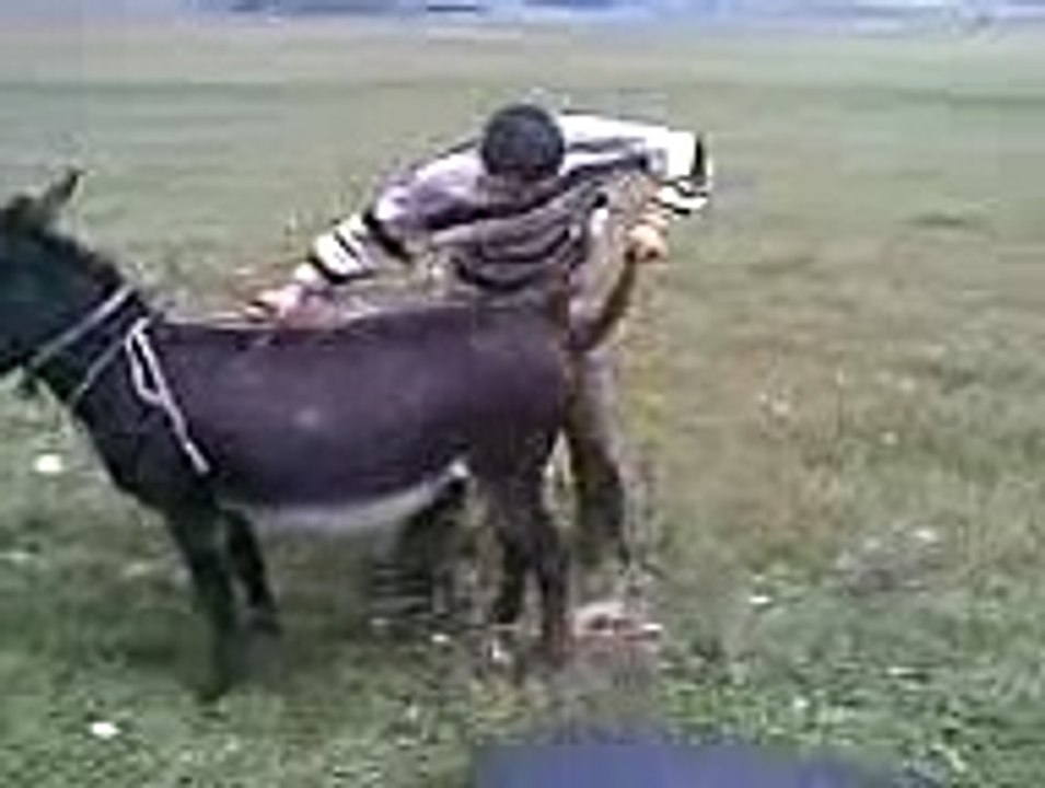 New Funny Videos Funny  VinesPranks 2016 Scary Pranks TOP Funny Pranks Compilation 2016  (169)