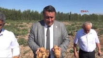 Niğde 'Patatesin Yurt Dışına Satışı Teşvik Edilmeli'