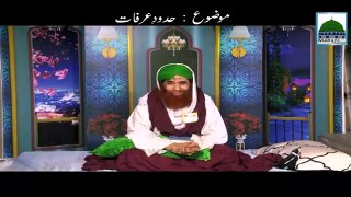 Hudood e Arafat - Maulana Ilyas Qadri - Hajj Video