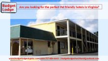 Are you looking for the perfect Pet friendly hotel - Budget Lodge