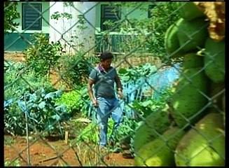 SEM ÔNIBUS E ISOLADOS