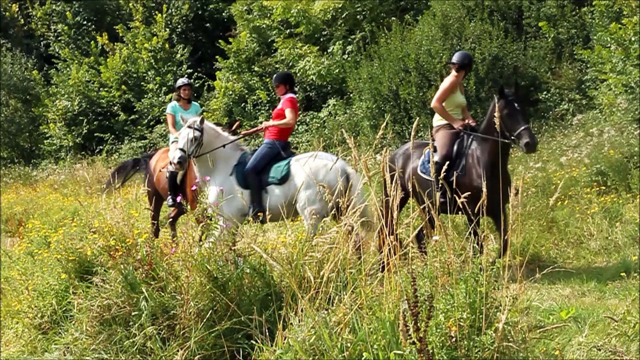 14août-TREC-BAIGNADE, 2016