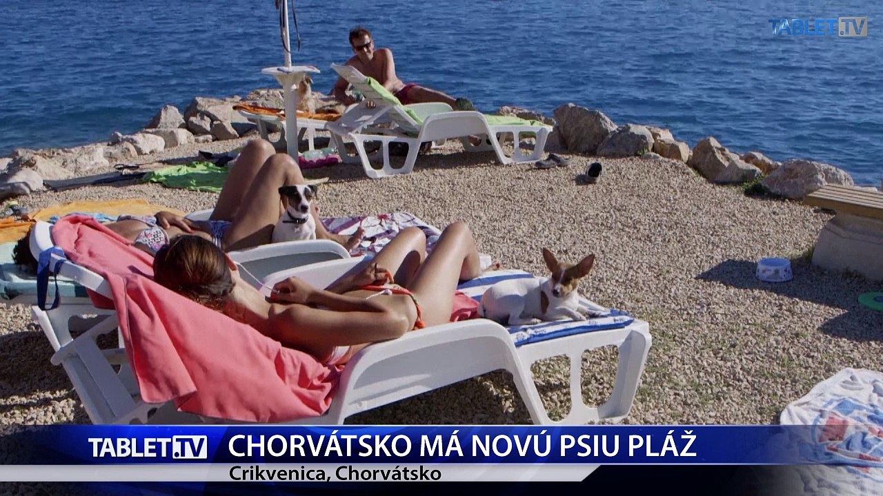 Chorvátsko má novú psiu pláž, pozrite sa, ako to tam vyzerá