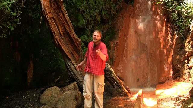 Falkonection - Identidad