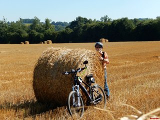 rouleaux de paille vidéo