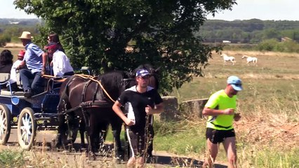 Arrivée des prés - Lundi 15 août 2016