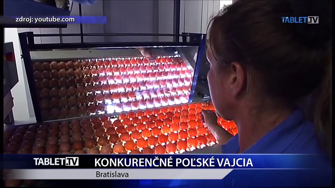 Hydinári sa bránia nekalému správaniu poľského producenta vajec