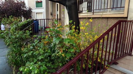 Ouverture du 8ème Restaurant Solidaire