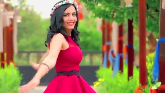 ANKARALI HADİSE - SENİ VEREN ALLAH'a KURBAN OLAYIM - AŞK MÜZİK - 2016