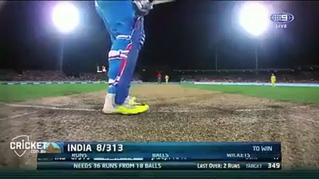 Funny Cricket Clip