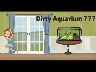 Aquarium cleaning service in Dubai - YouTube