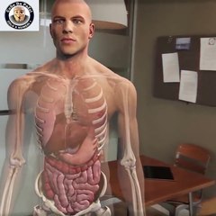 studiare anatomia oggi in modo virtuale con ologrammi touch