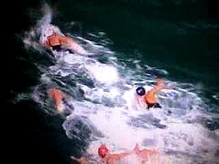 Natation -10 km nage libre _Rio 2016